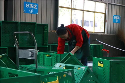 玉屏搭建农产品集配平台 助力产销对接 菜园子 直达 菜盘子