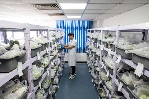蹲点日记,最大菜篮子到餐盘子 食品 要几次 体检